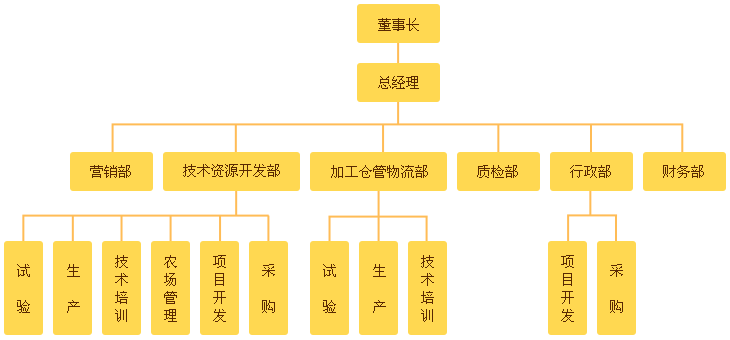 组织架构